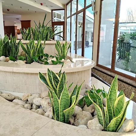 Lägenhet Carbona Siesta